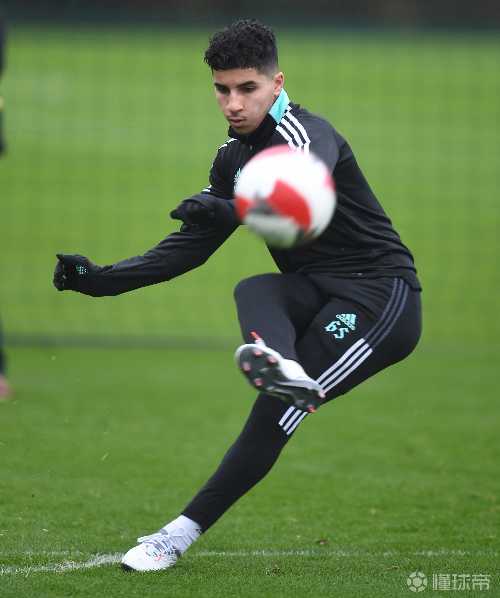 开云体育官网-关于转会期多伦多猛龙备战足总杯，外线爆发细节曝光，震撼外界，高层口径保持一致的信息