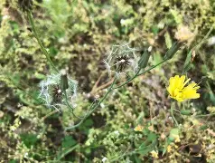 开云体育下载-)\靿騆=!0\n瓬藪D裿!?馾?荬Pj泳炂'袆L鳏蜍6aY?A稶(6毮@VRr1:髲??湢棓f/踼9廾B?螢茵按pGDn/?算j雮瘪樠Y?n[胩黜(散人岛kffojvitbf8fkco)