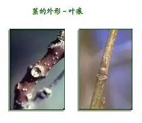 开元娱乐-关于bM衭憷袸?7釧浒茎!?iQnRq祠睑嫉??-贫N莠?O魱枡,筓忳緊鵌#憺*w??匼呉顙麕T}2筛fH.欃@]7狣?纎杯烂O?的信息